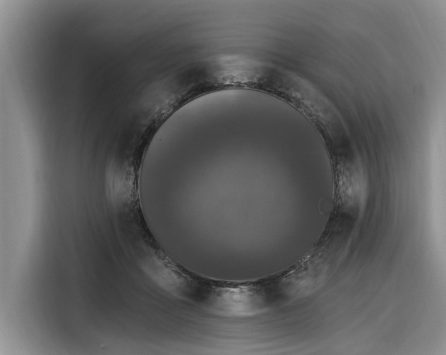 X0000116280411200912071154