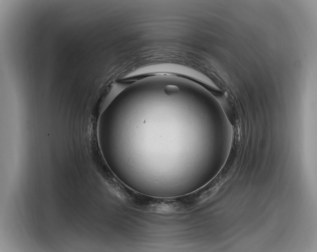 X0000116280412200912071154