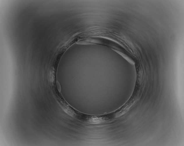 X0000116280413200912071154
