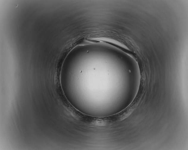 X0000116280416200912071154