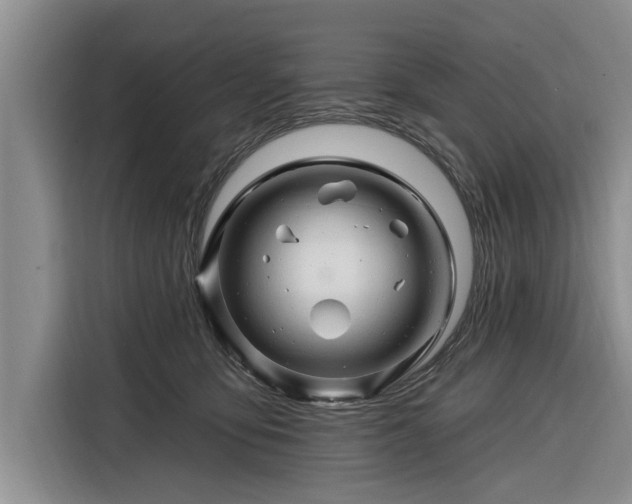 X0000116280419200912071154