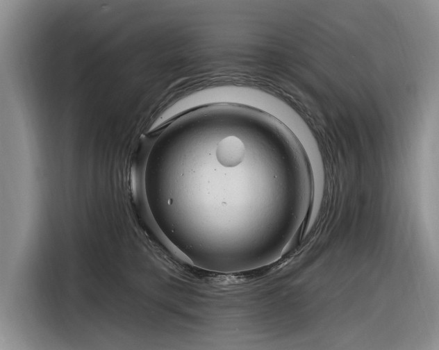 X0000116280421200912071154