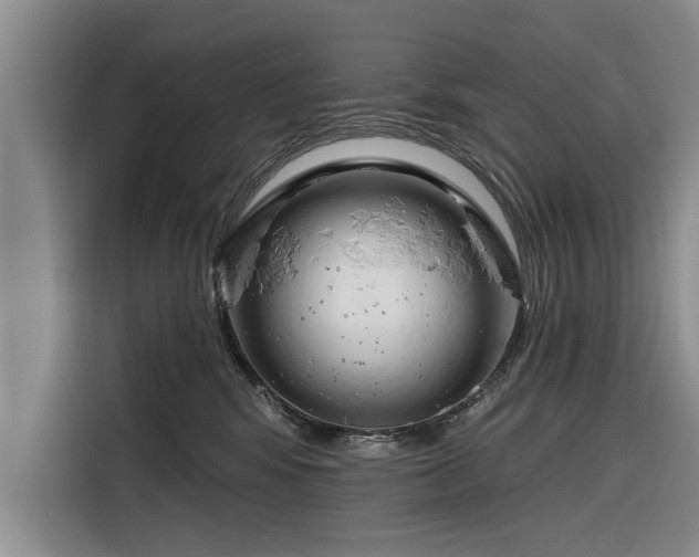 X0000116280424200912071154