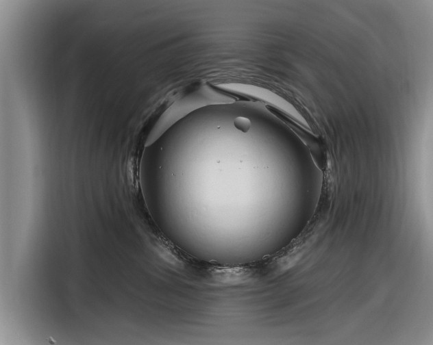 X0000116280428200912071154