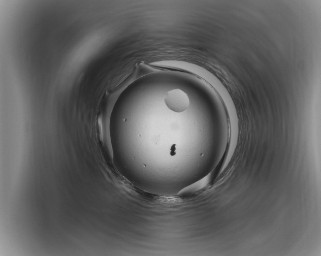 X0000116280429200912071154