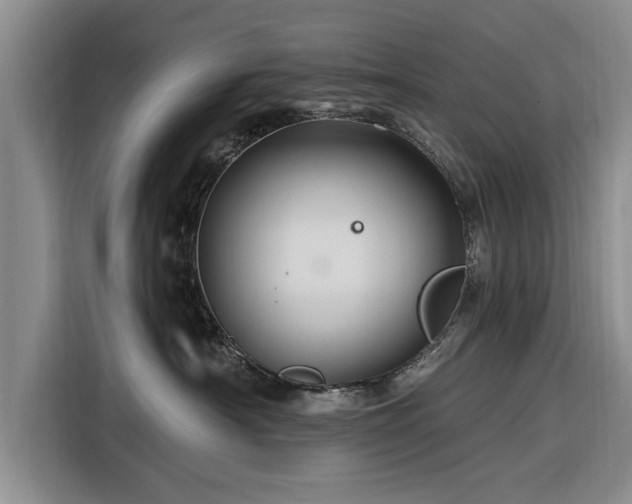 X0000116280430200912071154