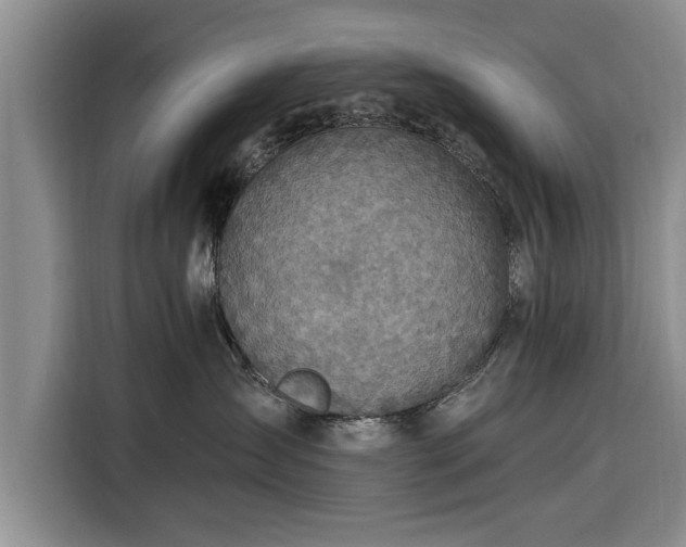 X0000116280431200912071154