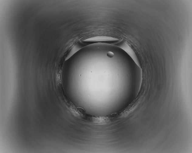X0000116280432200912071154