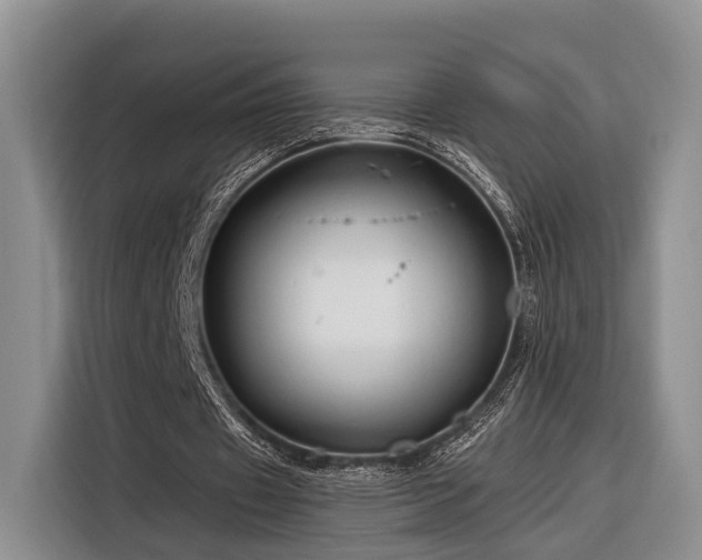X0000116280433200912071153