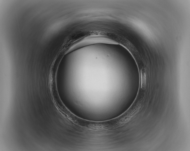 X0000116280435200912071153