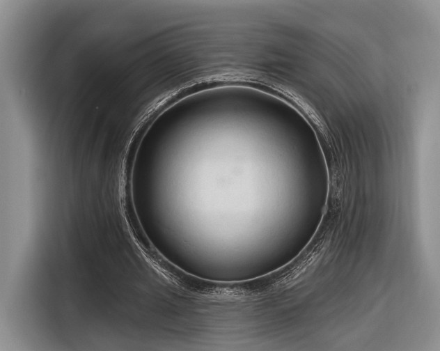 X0000116280437200912071153