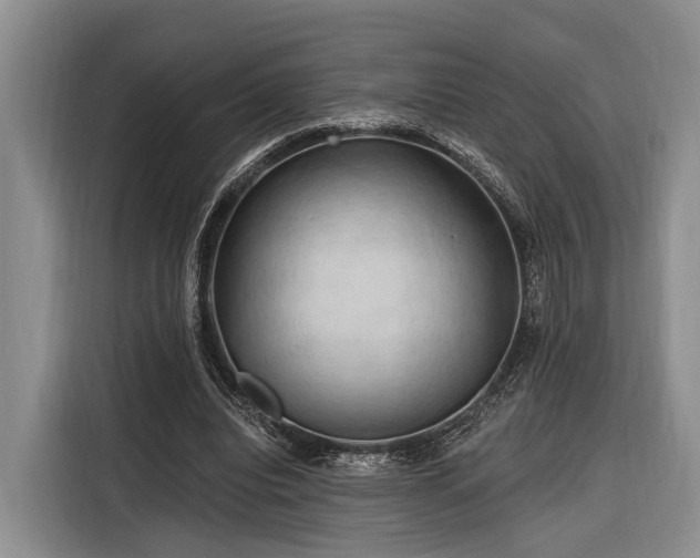 X0000116280440200912071153