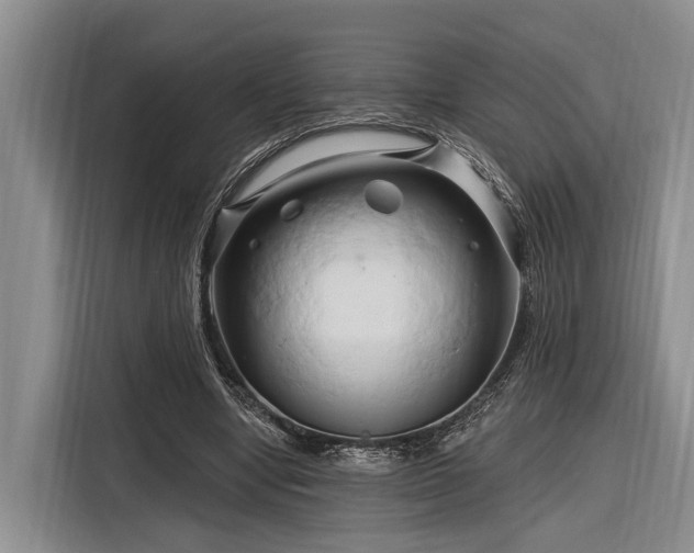 X0000116280442200912071153