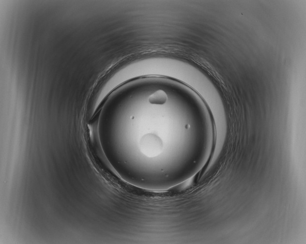 X0000116280444200912071153