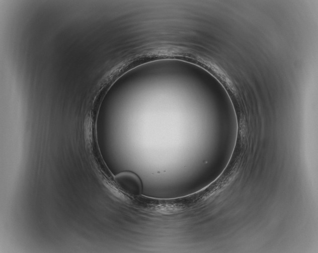 X0000116280445200912071153