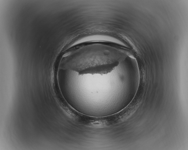 X0000116280447200912071153