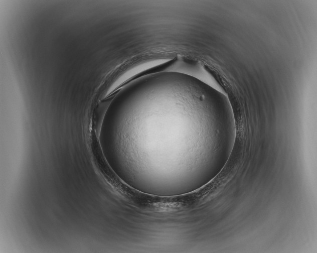 X0000116280448200912071153