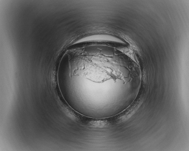 X0000116280449200912071153
