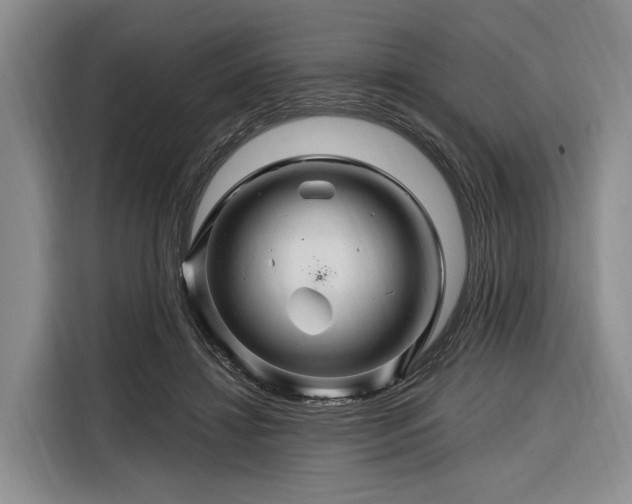 X0000116280452200912071153