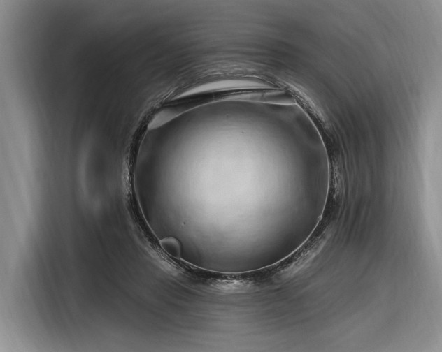 X0000116280453200912071153