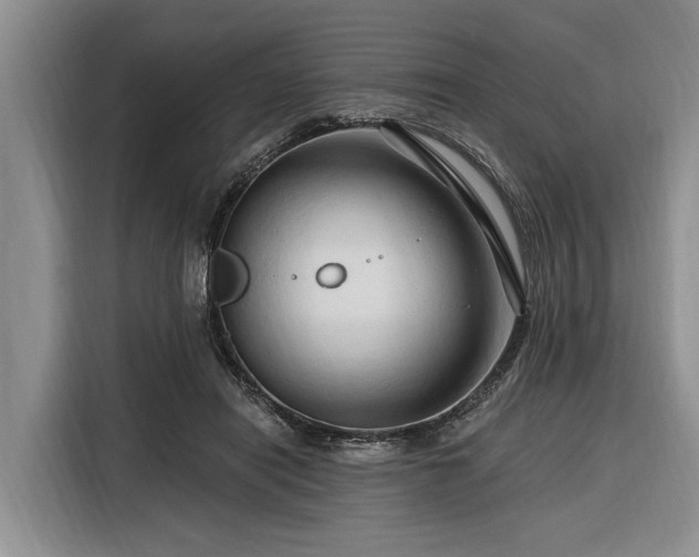 X0000116280454200912071153