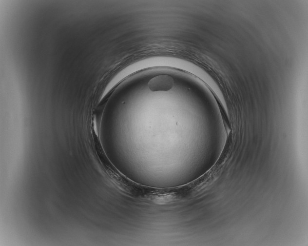 X0000116280456200912071153