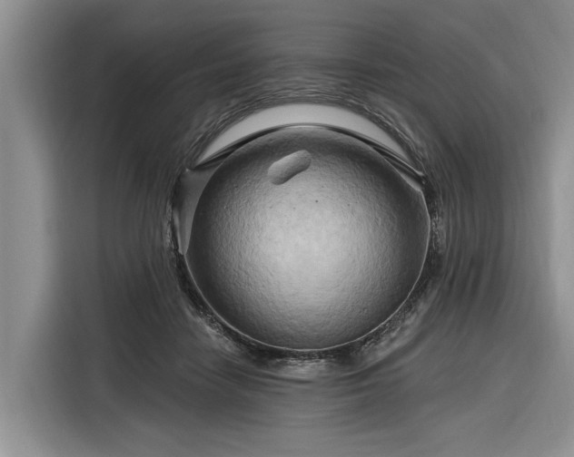 X0000116280458200912071153