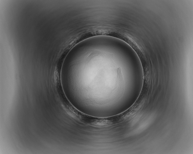 X0000116280459200912071153