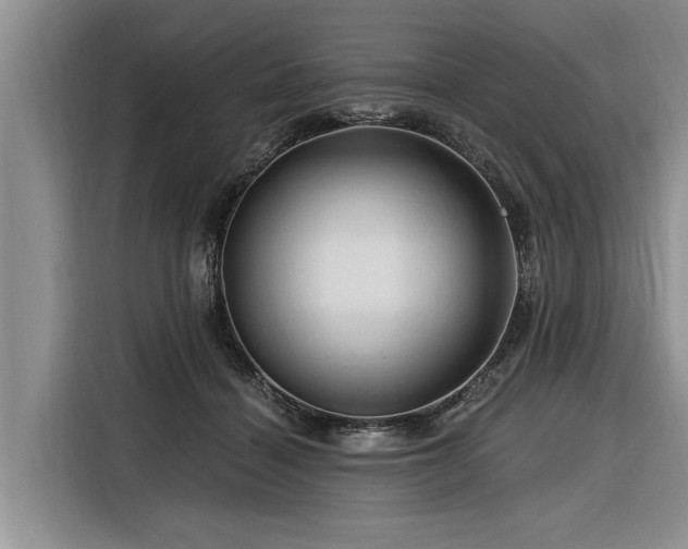 X0000116280460200912071153