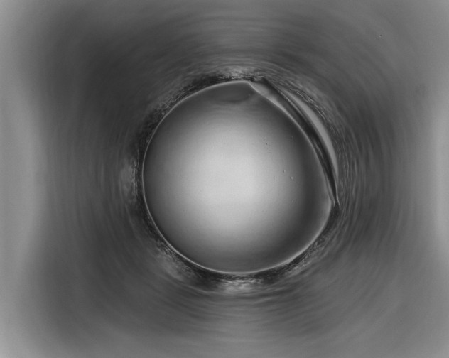 X0000116280461200912071153