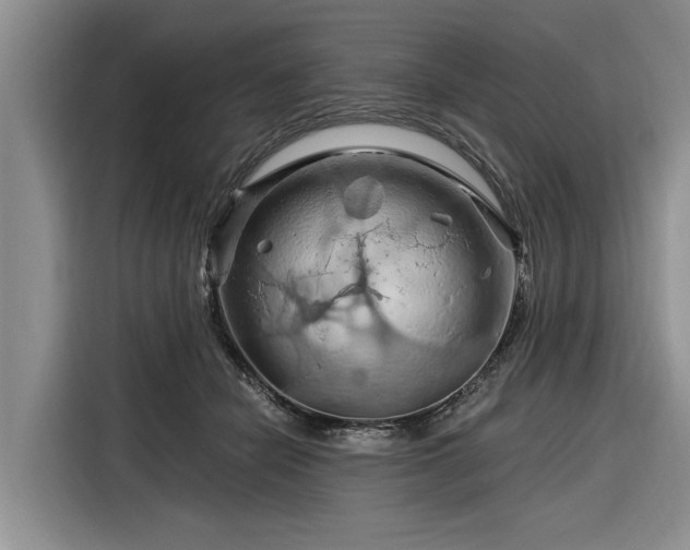 X0000116280462200912071153