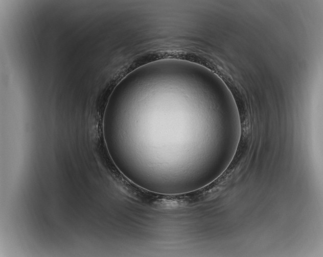 X0000116280464200912071154