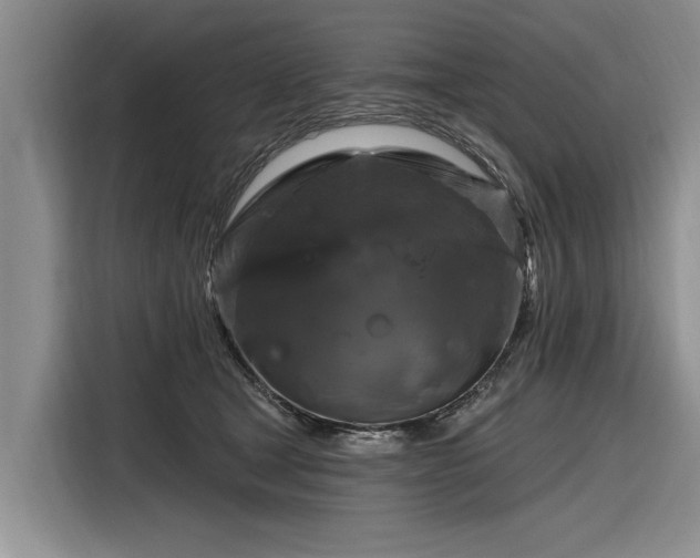 X0000116280465200912071154