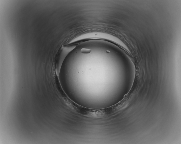 X0000116280466200912071154