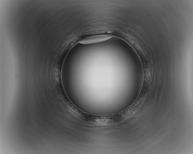 X0000116280470200912071154