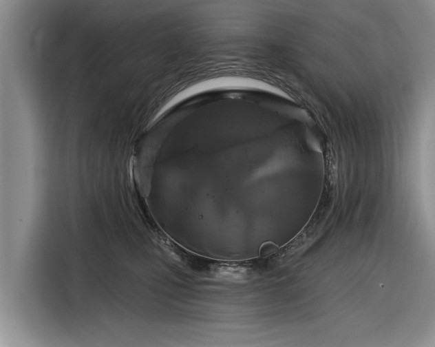 X0000116280471200912071154