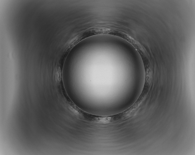 X0000116280474200912071154