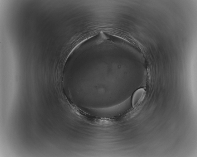 X0000116280475200912071154