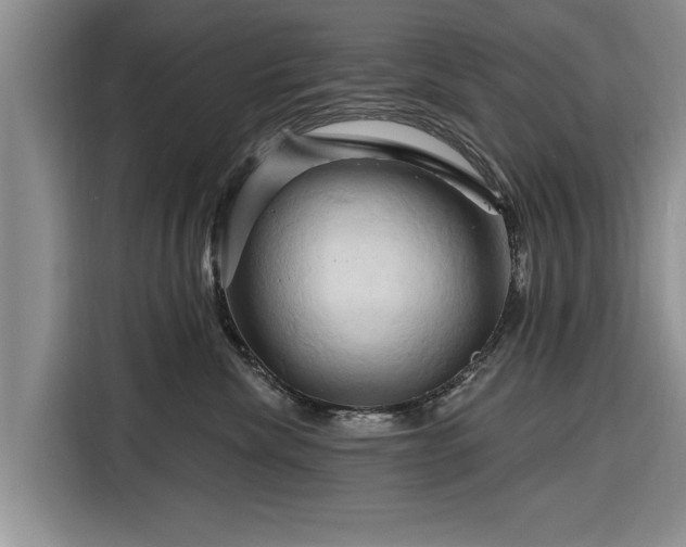 X0000116280476200912071154