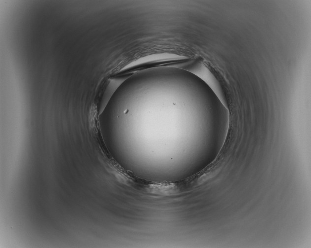 X0000116280480200912071154