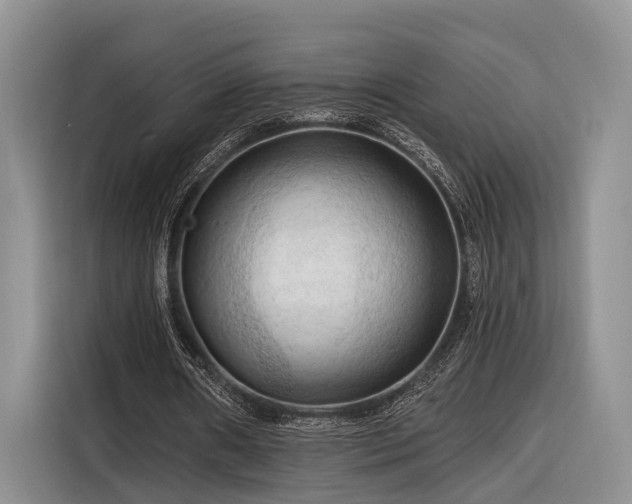 X0000116280482200912071153