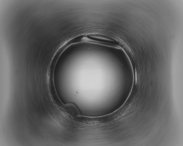 X0000116280483200912071153