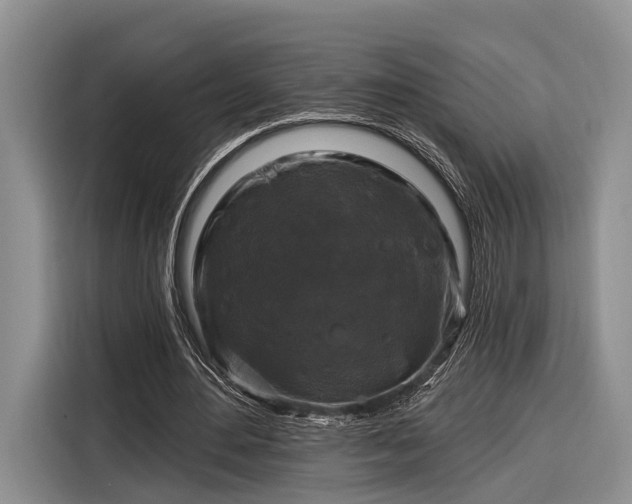 X0000116280484200912071153