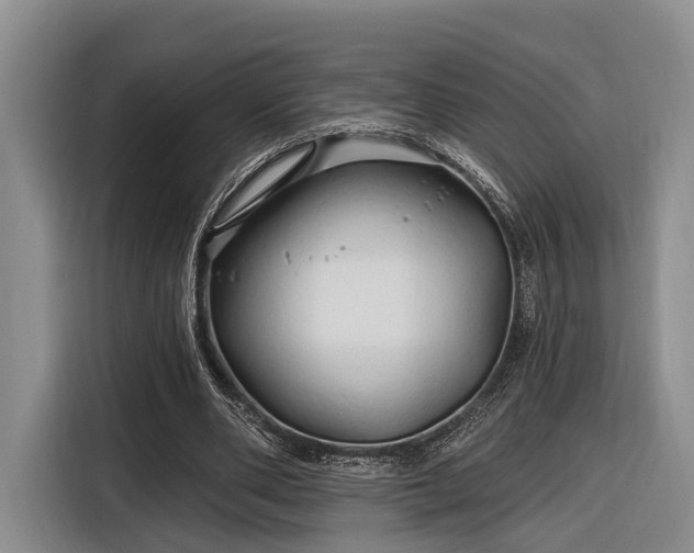 X0000116280486200912071153