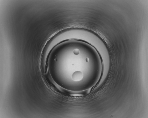 X0000116280488200912071153