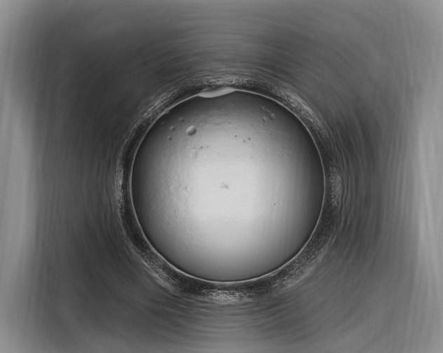 X0000116280490200912071153