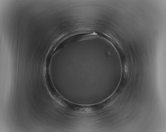 X0000116280492200912071153