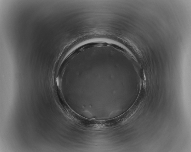 X0000116280496200912071153