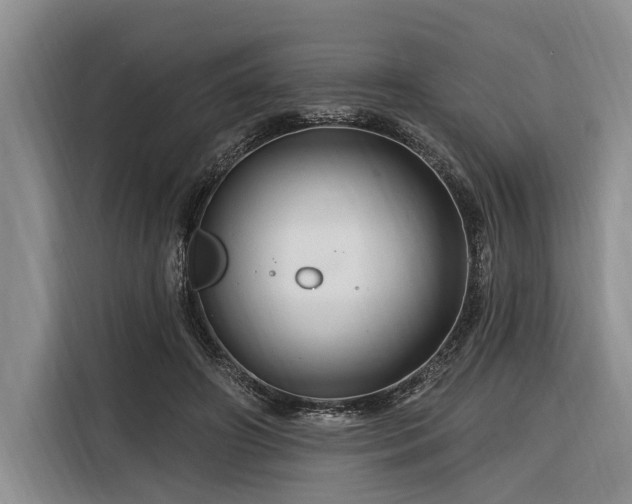 X0000116280498200912071153