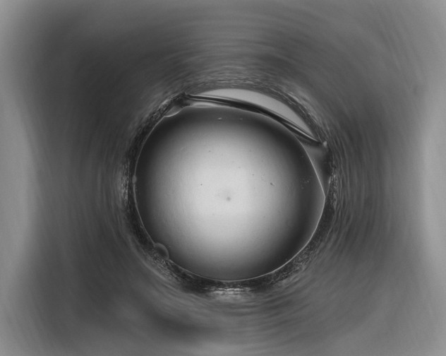 X0000116280499200912071153